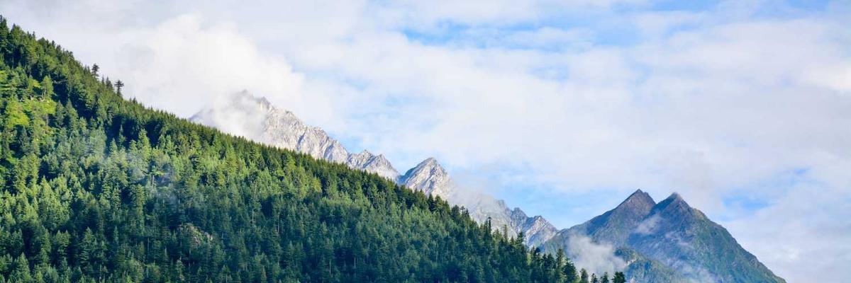 精选火影动漫9.1免费集